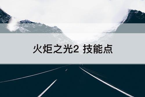 火炬之光2 技能点