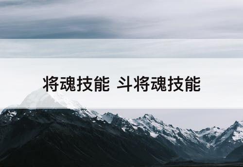 将魂技能 斗将魂技能