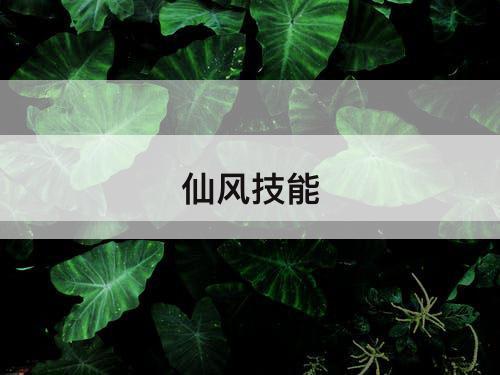 仙风技能