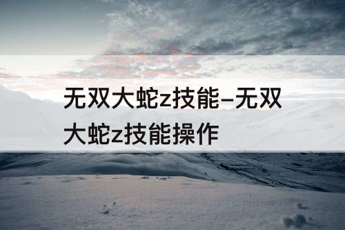 无双大蛇z技能-无双大蛇z技能操作