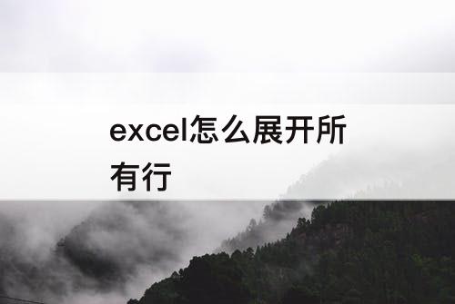 excel怎么展开所有行