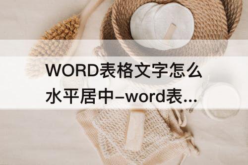WORD表格文字怎么水平居中-word表格文字怎么水平居中对齐