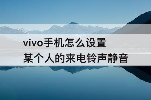 vivo手机怎么设置某个人的来电铃声静音