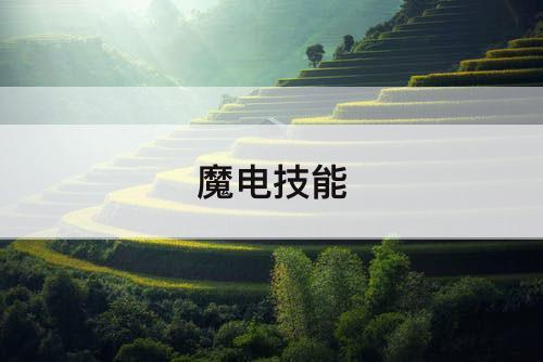魔电技能
