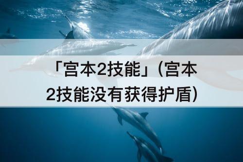 「宫本2技能」(宫本2技能没有获得护盾)