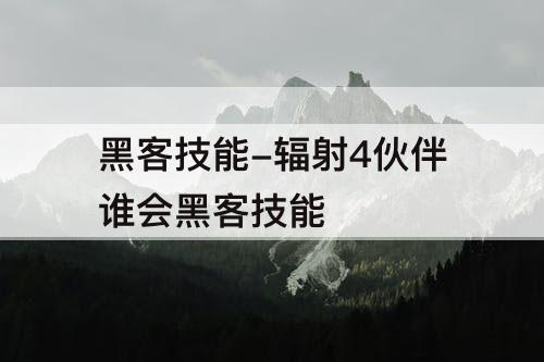 黑客技能-辐射4伙伴谁会黑客技能