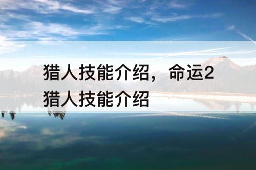 猎人技能介绍，命运2猎人技能介绍