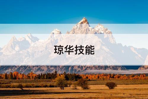 琼华技能
