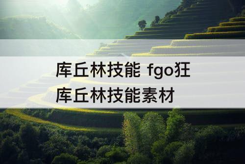 库丘林技能 fgo狂库丘林技能素材