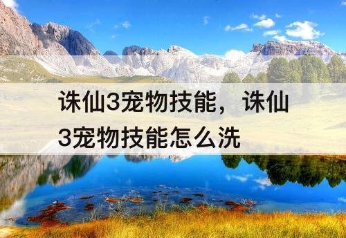诛仙3宠物技能，诛仙3宠物技能怎么洗
