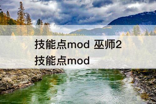 技能点mod 巫师2技能点mod