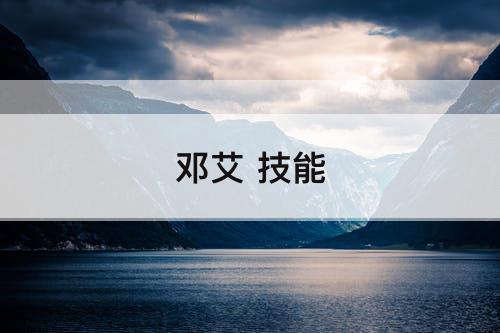 邓艾 技能