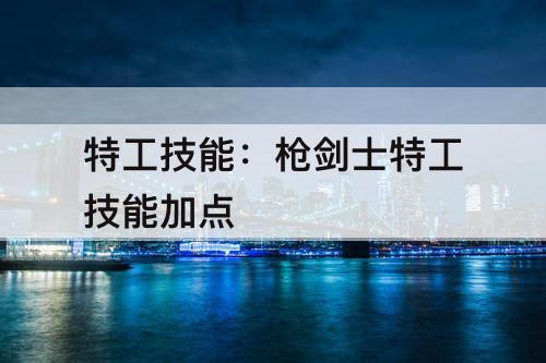 特工技能：枪剑士特工技能加点