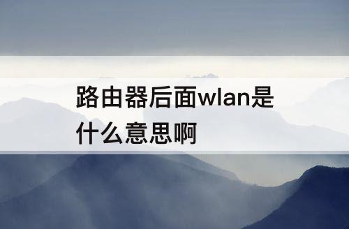 路由器后面wlan是什么意思啊