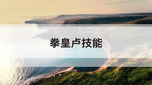 拳皇卢技能