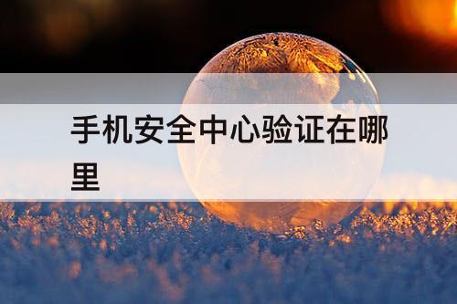 手机安全中心验证在哪里