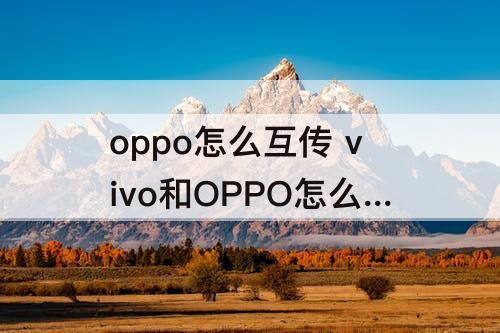 oppo怎么互传 vivo和OPPO怎么互传便签