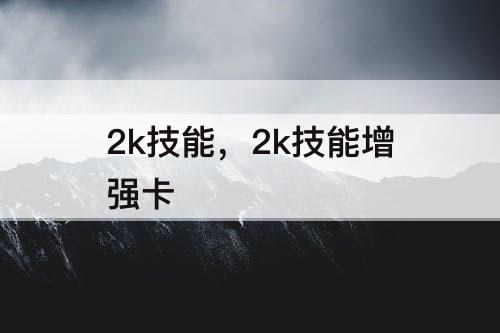 2k技能，2k技能增强卡