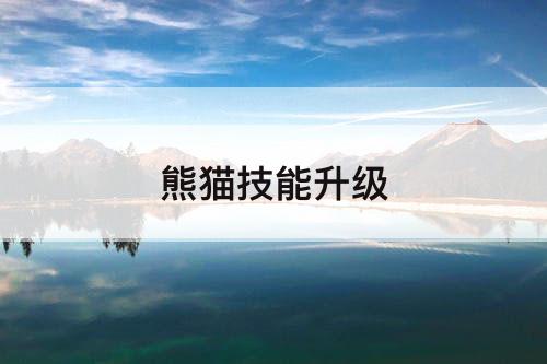 熊猫技能升级