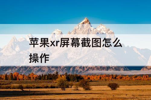 苹果xr屏幕截图怎么操作