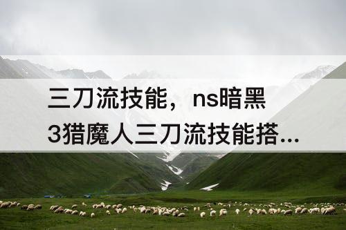 三刀流技能，ns暗黑3猎魔人三刀流技能搭配