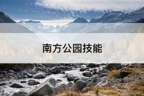 南方公园技能