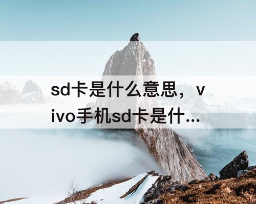 sd卡是什么意思，vivo手机sd卡是什么意思