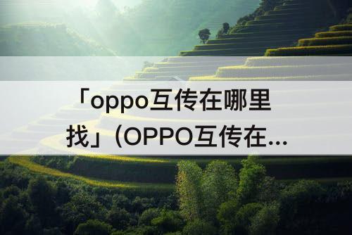 「oppo互传在哪里找」(OPPO互传在哪里找到)