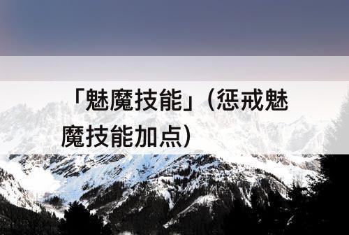 「魅魔技能」(惩戒魅魔技能加点)