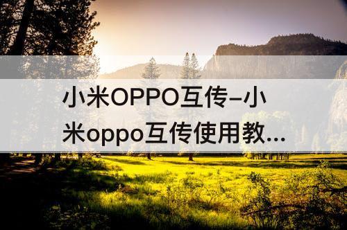 小米OPPO互传-小米oppo互传使用教程