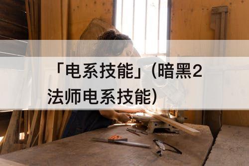 「电系技能」(暗黑2法师电系技能)
