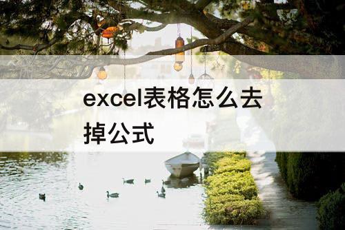 excel表格怎么去掉公式