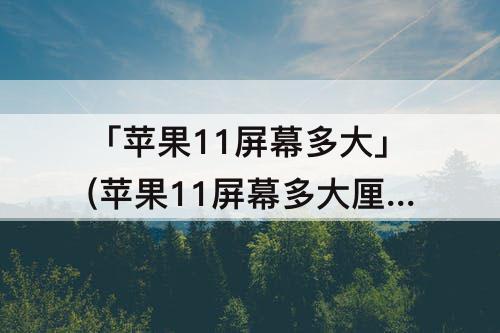 「苹果11屏幕多大」(苹果11屏幕多大厘米)