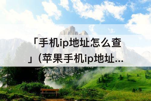 「手机ip地址怎么查」(苹果手机ip地址怎么查)