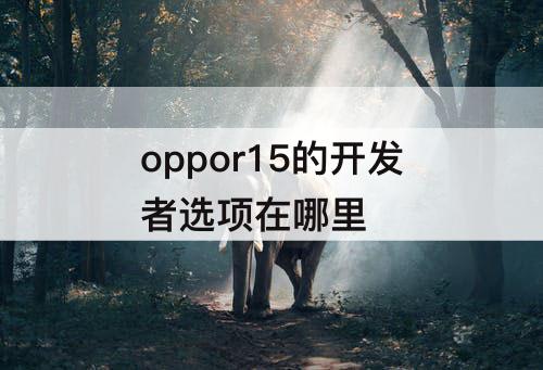 oppor15的开发者选项在哪里