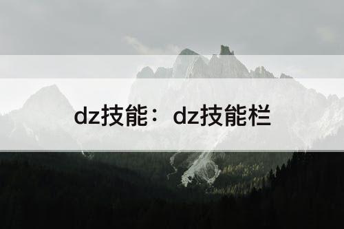 dz技能：dz技能栏