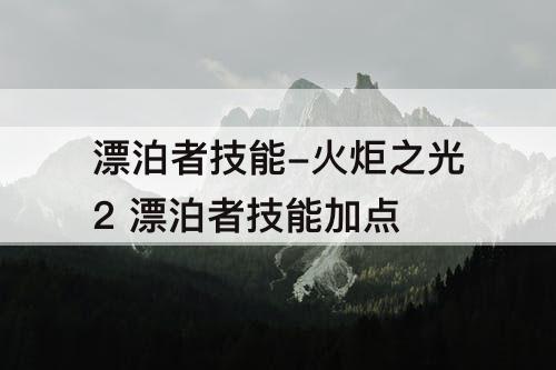 漂泊者技能-火炬之光2 漂泊者技能加点