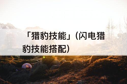 「猎豹技能」(闪电猎豹技能搭配)