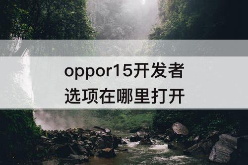 oppor15开发者选项在哪里打开
