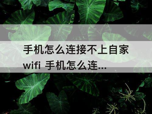 手机怎么连接不上自家wifi 手机怎么连接不上自家wifi显示无法加入
