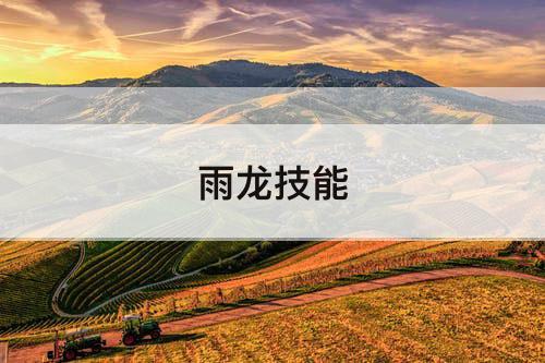 雨龙技能