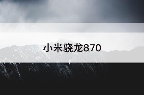 小米骁龙870