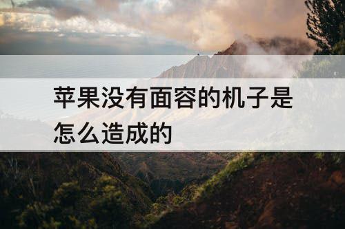 苹果没有面容的机子是怎么造成的