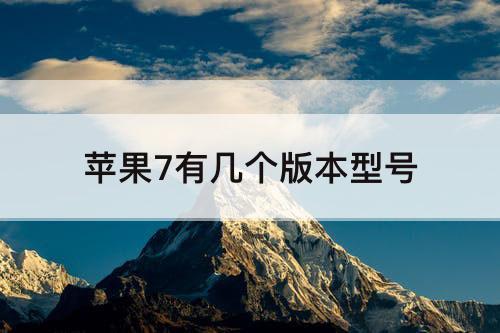 苹果7有几个版本型号