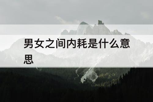 男女之间内耗是什么意思