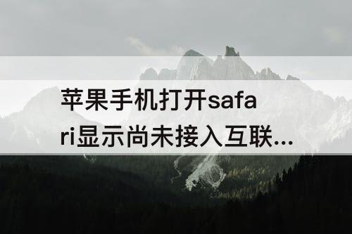苹果手机打开safari显示尚未接入互联网