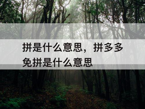 拼是什么意思，拼多多免拼是什么意思