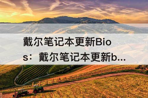 戴尔笔记本更新Bios：戴尔笔记本更新bios教程