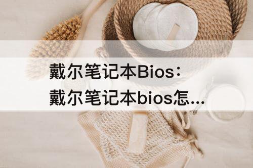 戴尔笔记本Bios：戴尔笔记本bios怎么进入pe