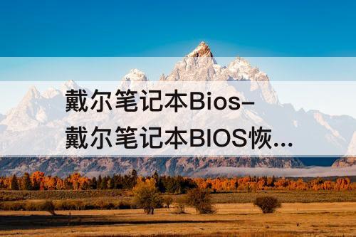 戴尔笔记本Bios-戴尔笔记本BIOS恢复出厂设置